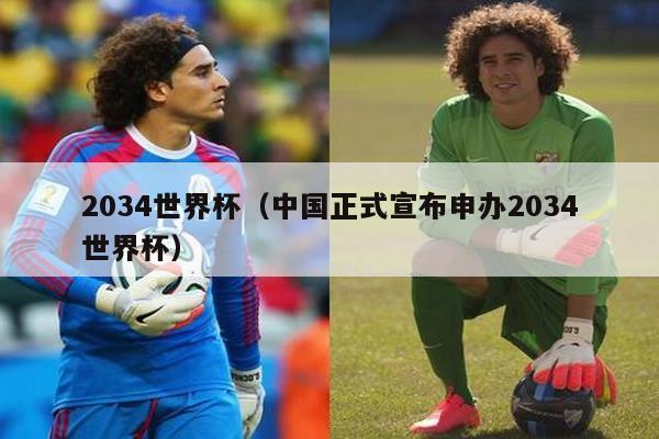 2034世界杯（中国正式宣布申办2034世界杯）