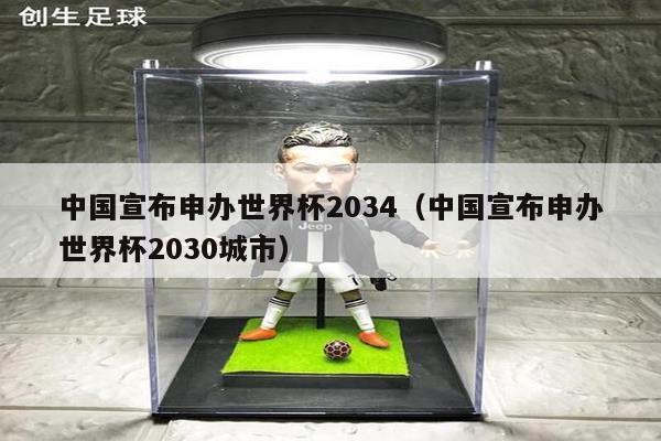 中国宣布申办世界杯2034（中国宣布申办世界杯2030城市）